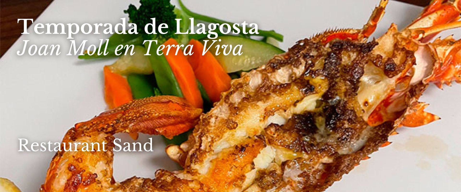 Descubre la Gastronomía Marina de Moraira con Terra Viva y la Cofradía de Pescadores